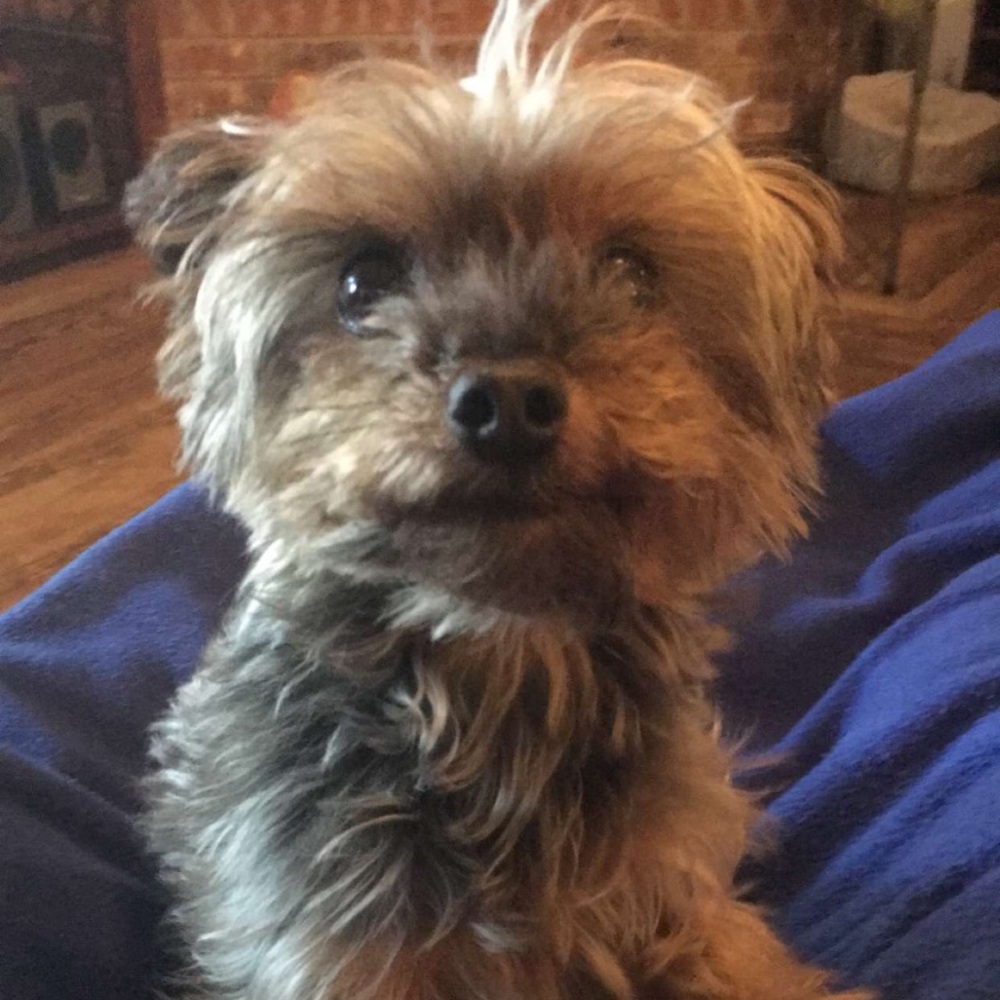 Meet your Posher, Megan